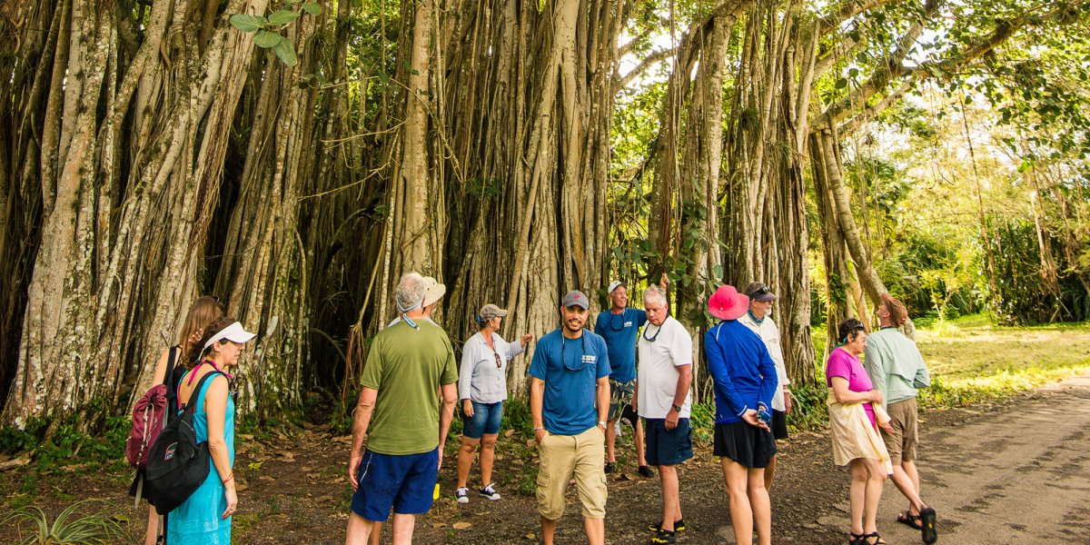 Travellers in a Cuba national park