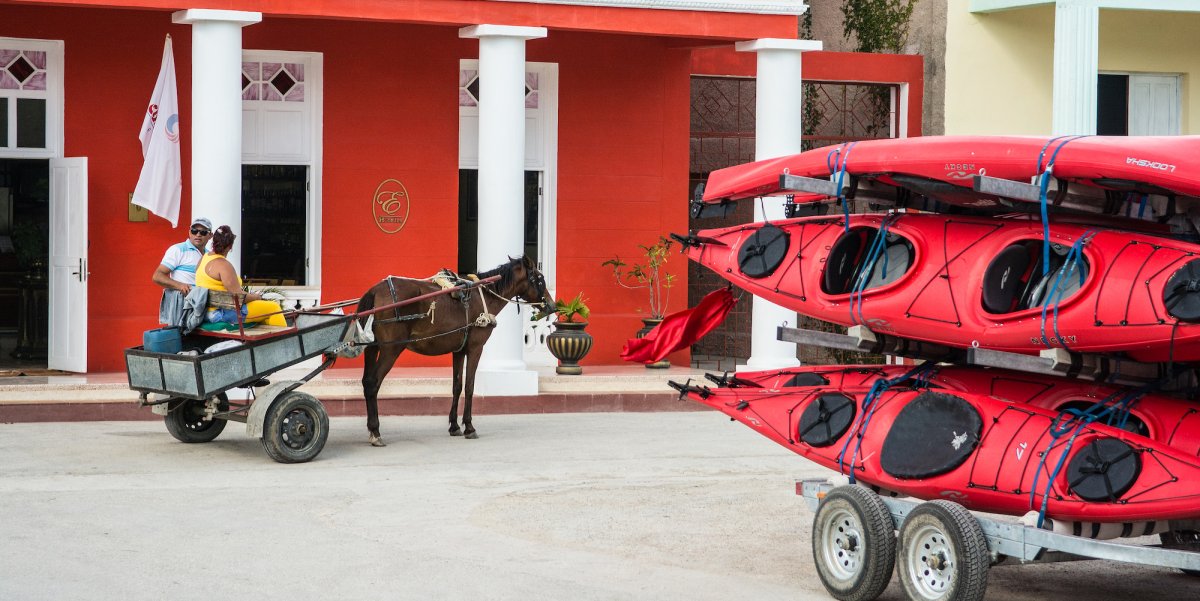 A trailer full of sea kayaks in the right corner with a horse and carriage ride in the background