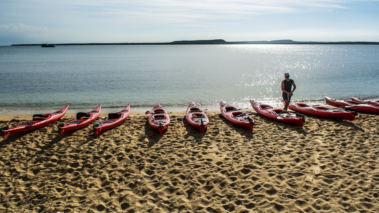 A row of red sea kayaks lined up on a beach