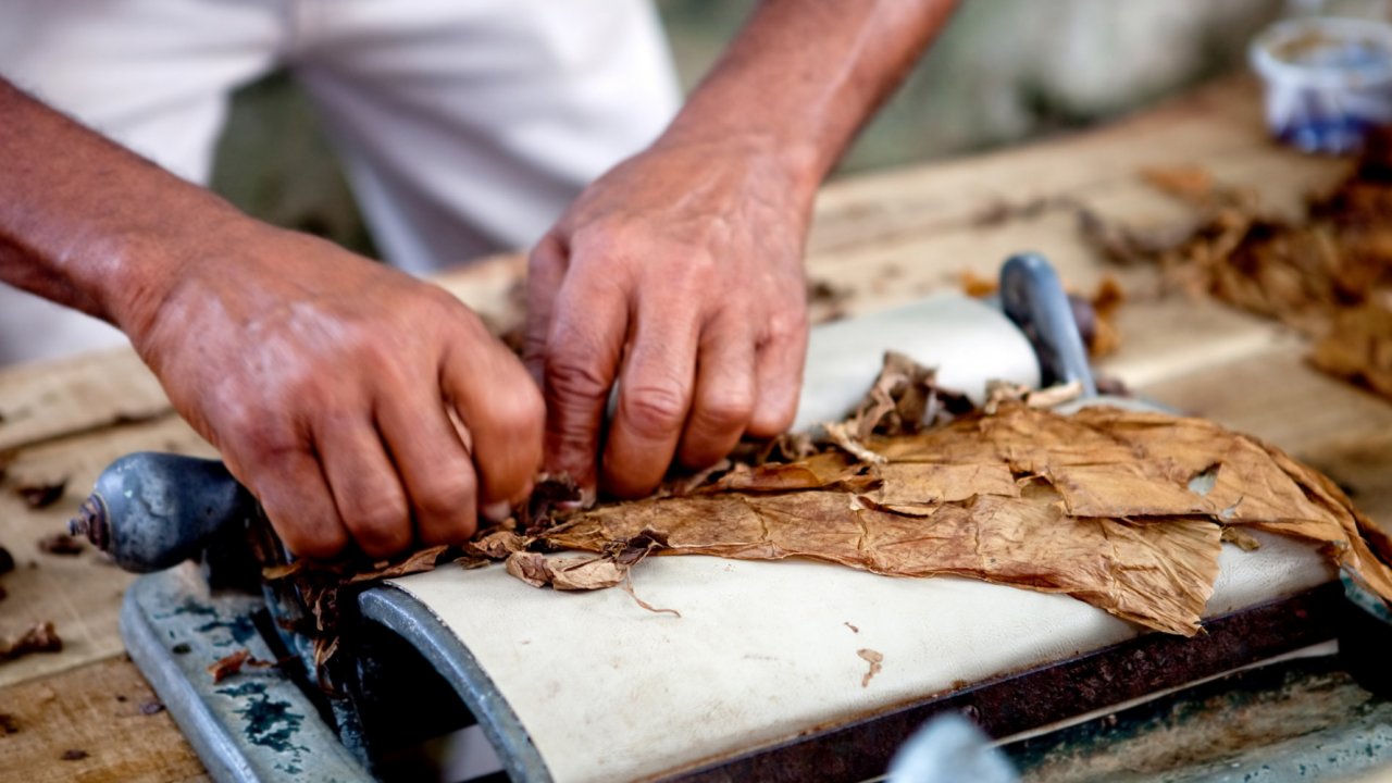 Cigar rolling in Cuba