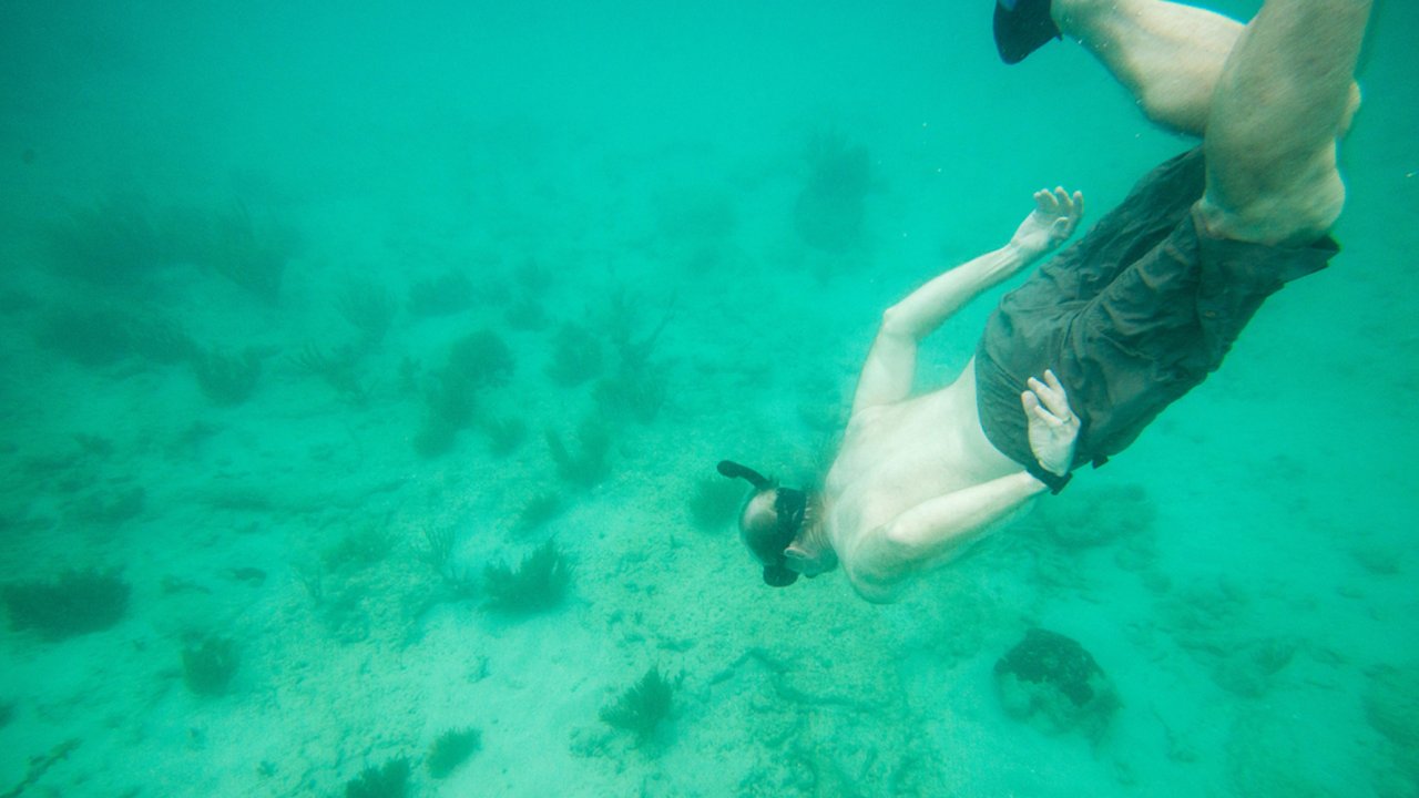 Underwater shot of a person diving down while snorkeling
