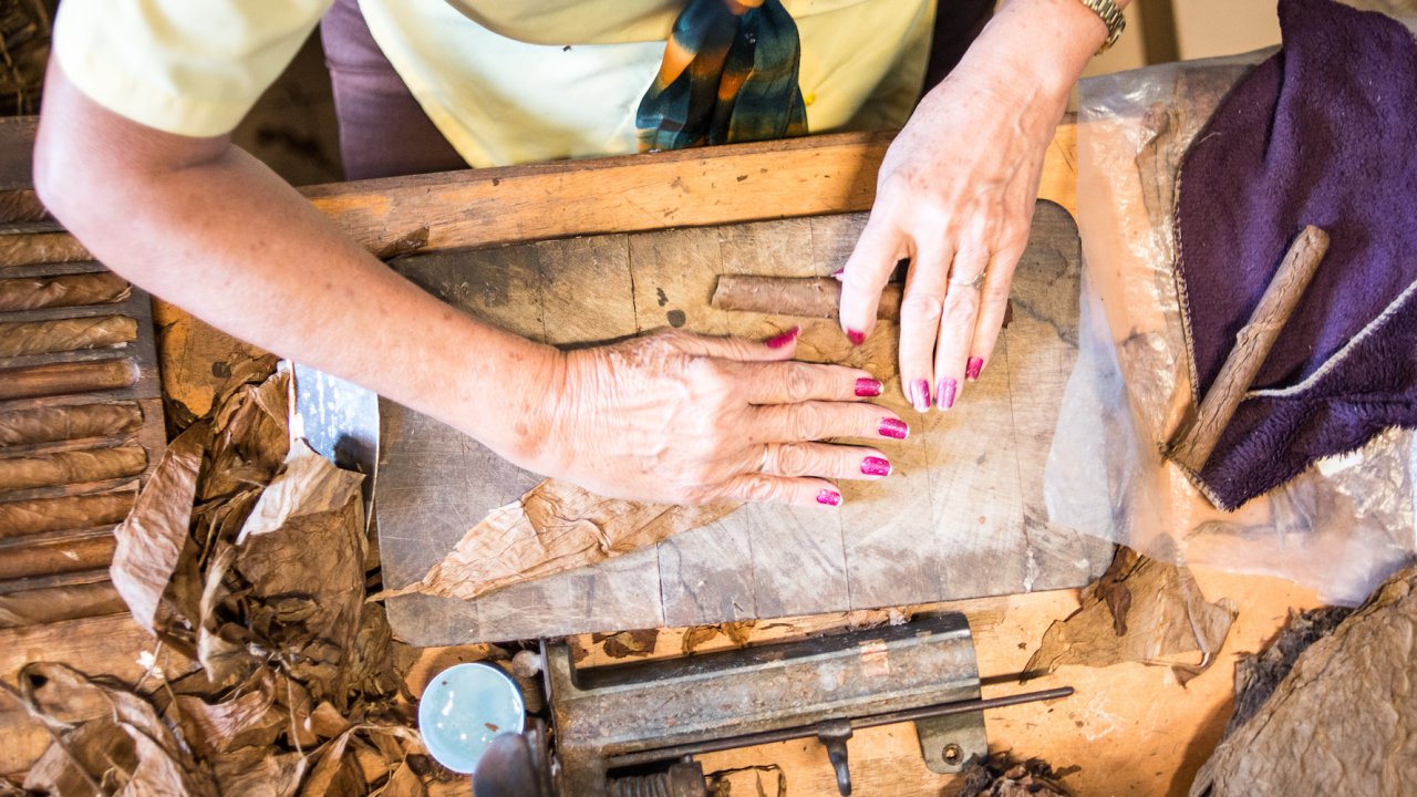 A birds eye shot of a woman with pink nails learning to roll a Cuban cigar in Havana