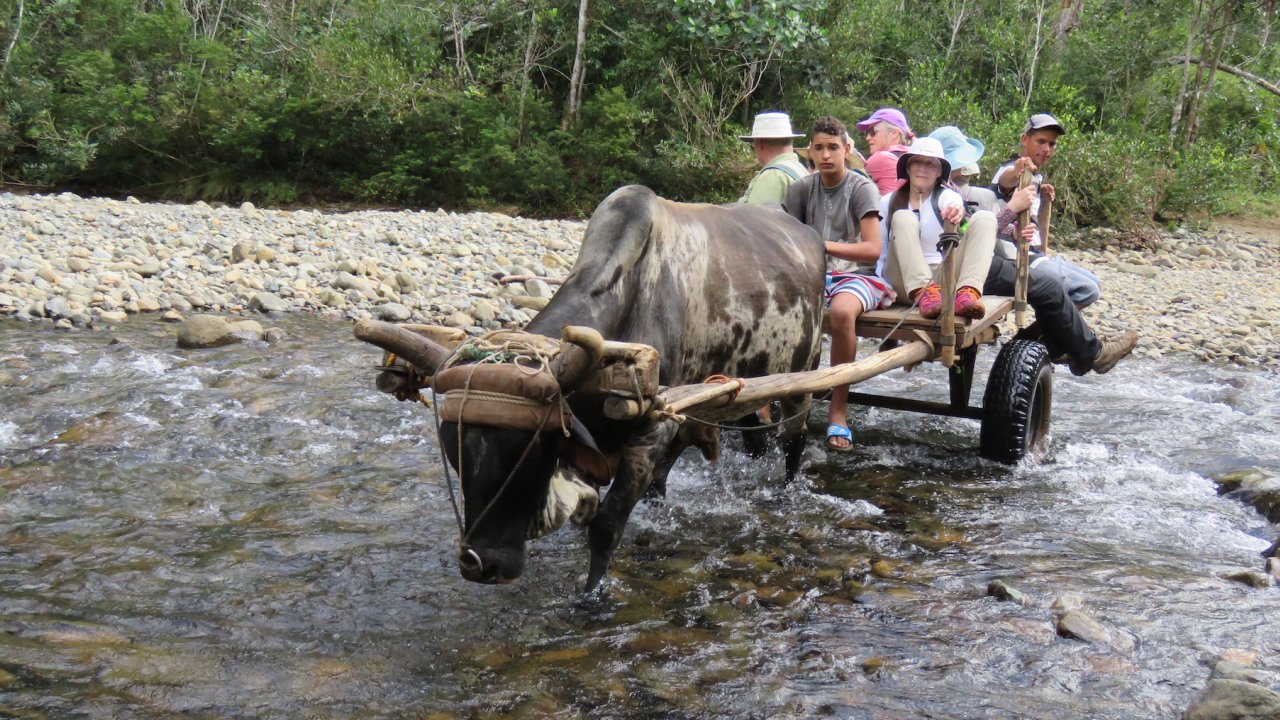 Transportation through a river in Eastern Cuba