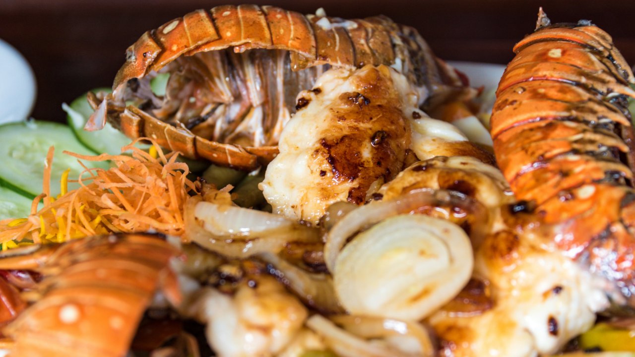Close up of a cooked lobster dinner on a white plate