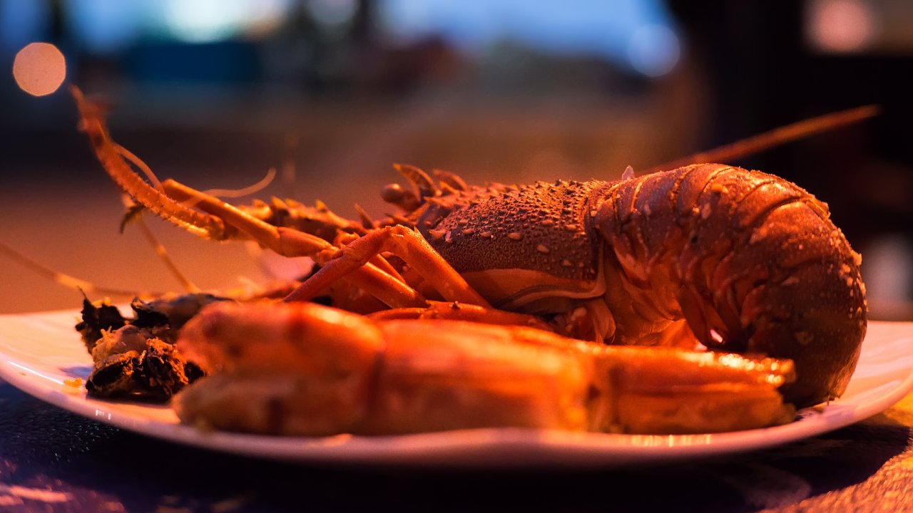 Freshly prepared lobster seafood dish served in Cuba, highlighting traditional Cuban cuisine and coastal flavors.