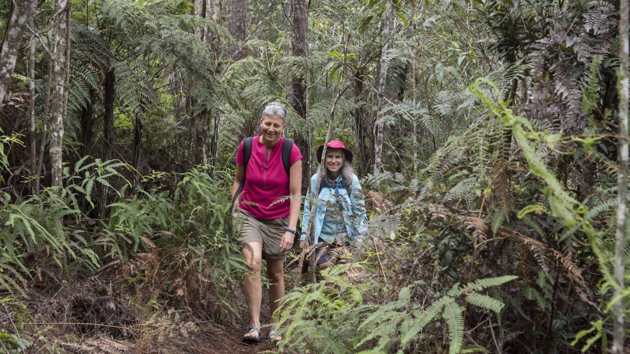 Two women walking through the dense forest on a hiking tour in Eastern Cuba.