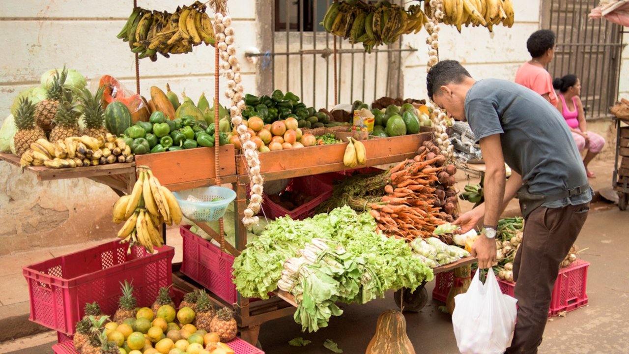Local man shopping for seasonal fruits and vegetables at a bustling street market in Havana during a Cuban food tour.