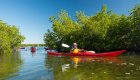 Small group sea kayaking through mangrove channels on a guided Cuba active travel adventure.