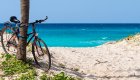 A bike leaning against a tree on a beach in Cuba on a sunny day