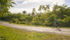 Side view of a person riding a bike down a paved road among palm trees in Cuba