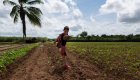 A boy kicking a coconut as if it were a soccer ball on a field in Cuba