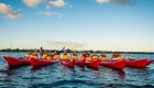 A group of sea kayakers in red kayaks off of the coast of Cuba