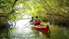 Two people in a red tandem sea kayak paddling through overgrown mangrove trees 