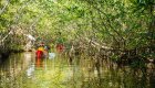 Travelers kayaking through lush mangrove forests on a guided Cuba trip — part of active Cuba tours from the USA focused on nature and eco-adventure.