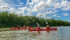 Group of travelers kayaking through mangroves in the eastern part of Cuba, exploring calm waterways surrounded by lush greenery.